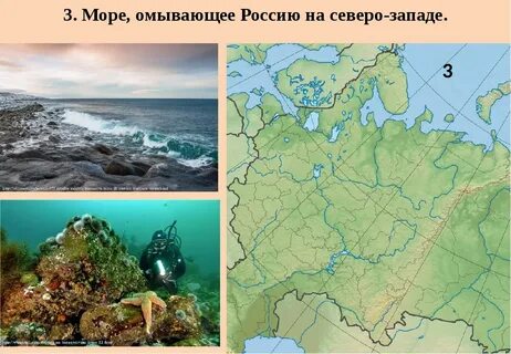 Территория русской равнины омывается водами океанов