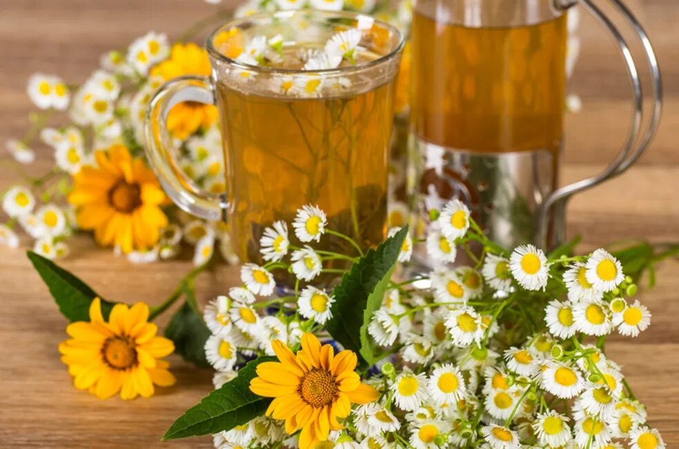 ромашка календула зверобой одном. травы ромашка календула. ромашка календула зверобой. календула + ромашка. отвар ромашки и календулы.