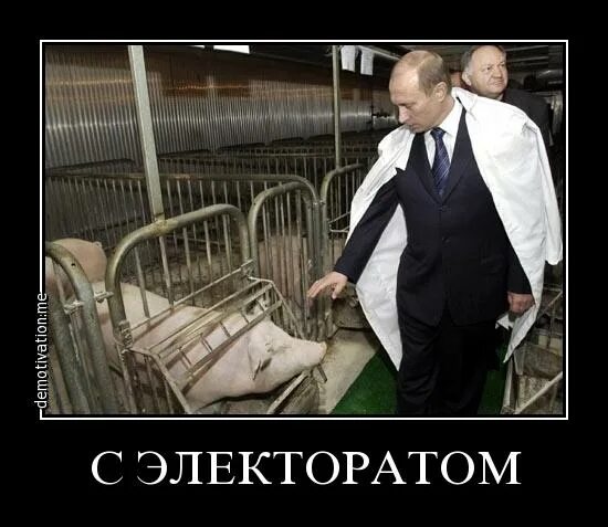 Электоратом называется