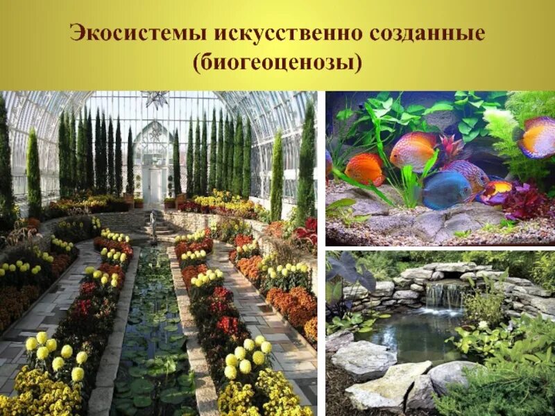 Искусственно созданные экосистемы