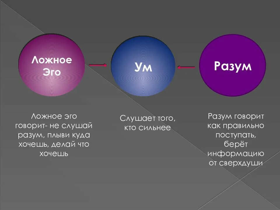 Что определяет ум человека. Ум разум ложное эго. Ум и разум различия. Ложное эго и истинное эго. Ум разум интеллект отличия.