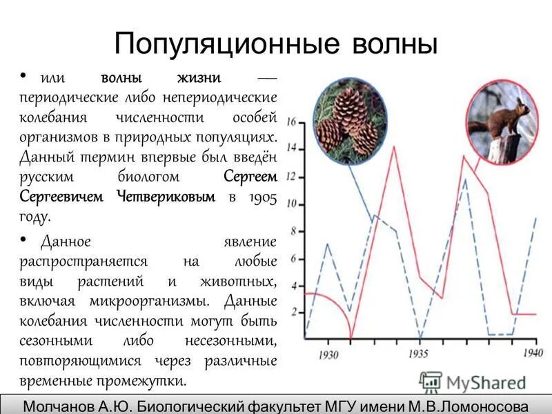 Причины изменения численности популяции в экосистеме