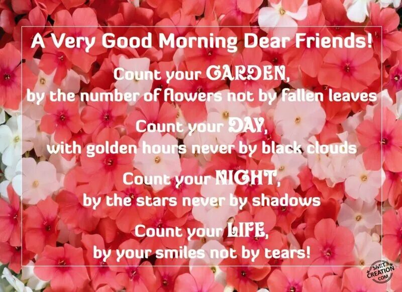 Dear friend good day. Good Day my Dear. Very good morning. Good morning Dear friend. Гуд Монинг Дэр френдс.