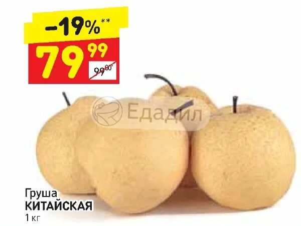 Где китайские груши. Китайская груша дерево. Груша сорт нэши. Японская груша нэши. Груша хрустящая сладкая желтая.