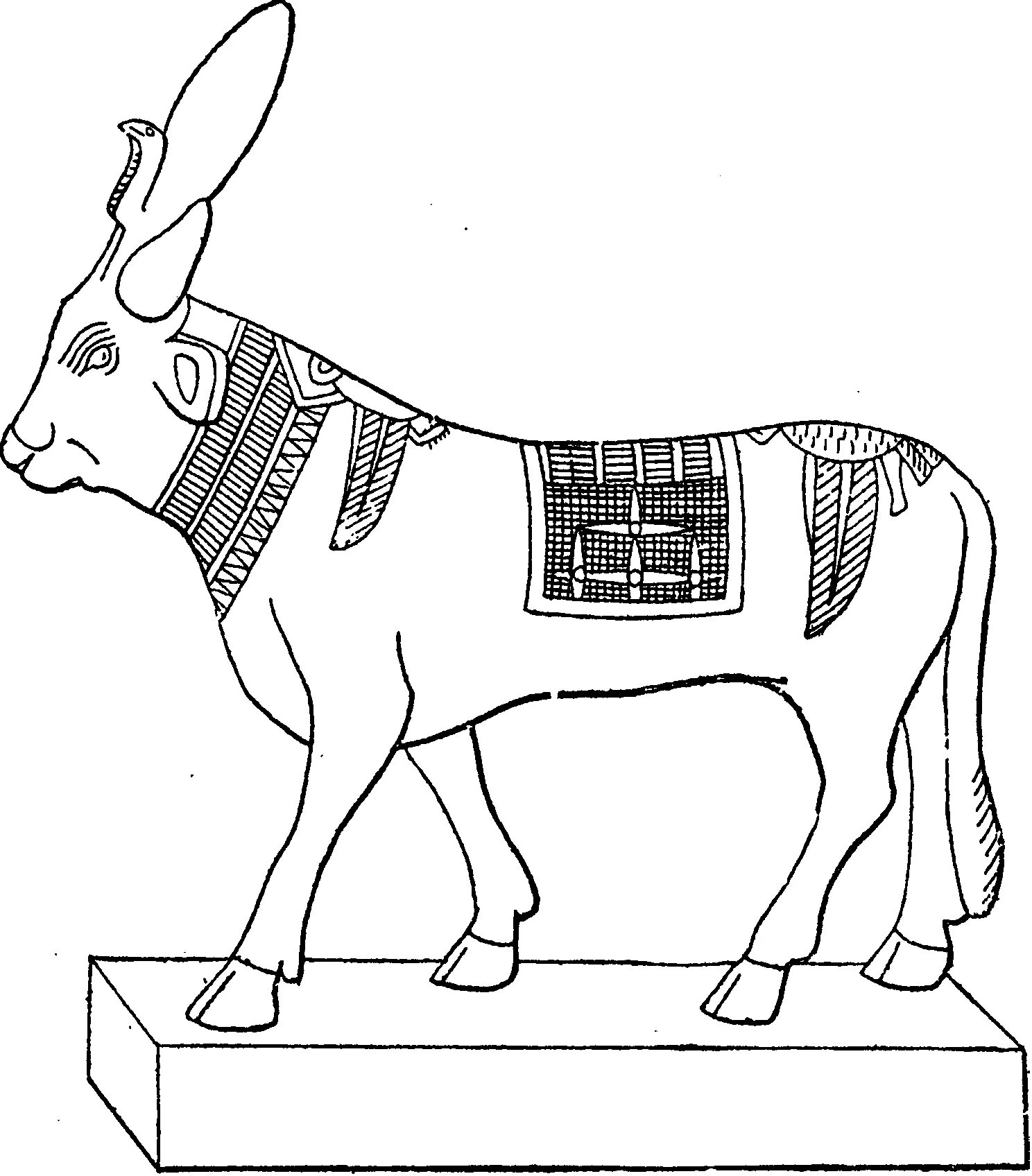 Среднерусская медоносная пчела. Пчела на белом фоне. Apis cor дома. Apis ok. Пчела на прозрачном фоне.