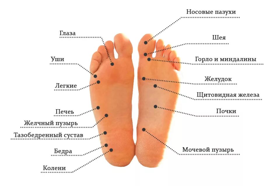 Нога на ногу что значит у мужчин. Активные точки стопы акупунктура. Активные точки на подошве стопы. Биологически активные точки на стопе. Точки на ногах за что отвечают.