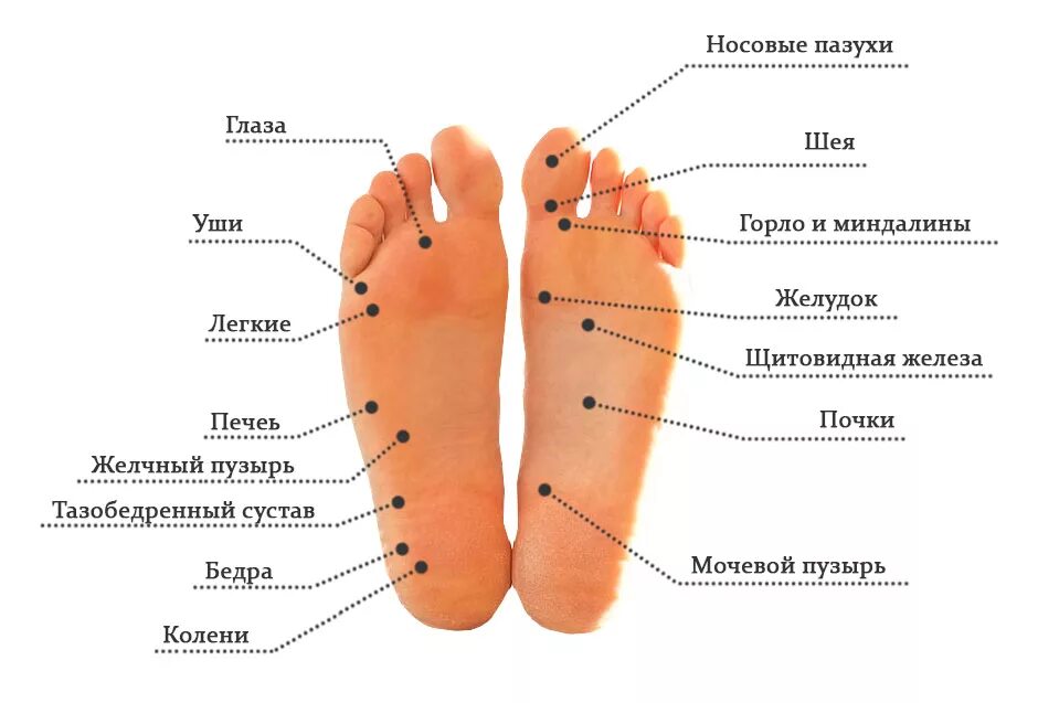 Рефлекторные ощущения. Активные точки стопы акупунктура. Активные точки на подошве стопы. Биологически активные точки на стопе. Точки на ногах за что отвечают.
