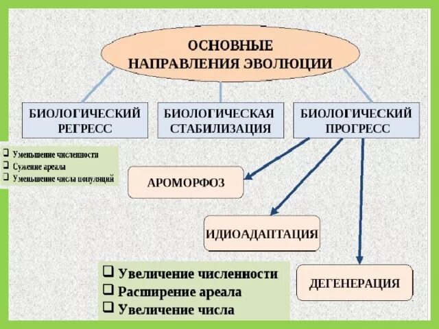 Направления биологического прогресса примеры. Основные направления эволюции Прогресс и регресс. Основные направления эволюции биологический регресс. Биологический Прогресс и регресс схема. Главные направления эволюции биологический Прогресс.