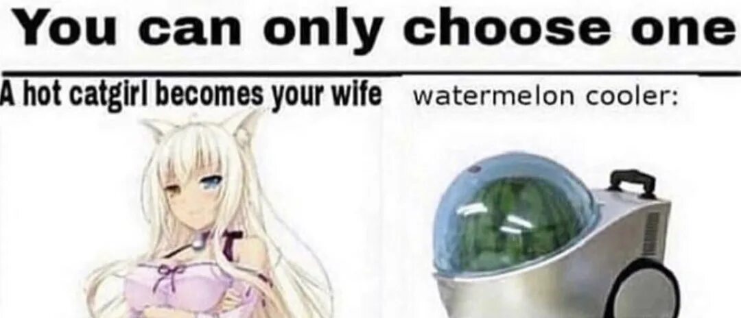 You can t choose your