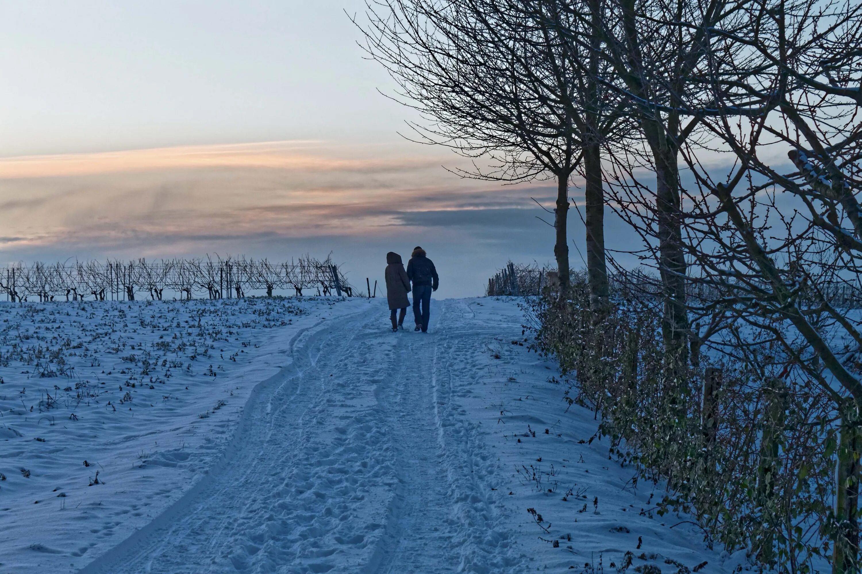 Зимняя прогулка картинки. Шагал зима. Зимние прогулки Pixabay. Шагать зимой. Зима шагает
