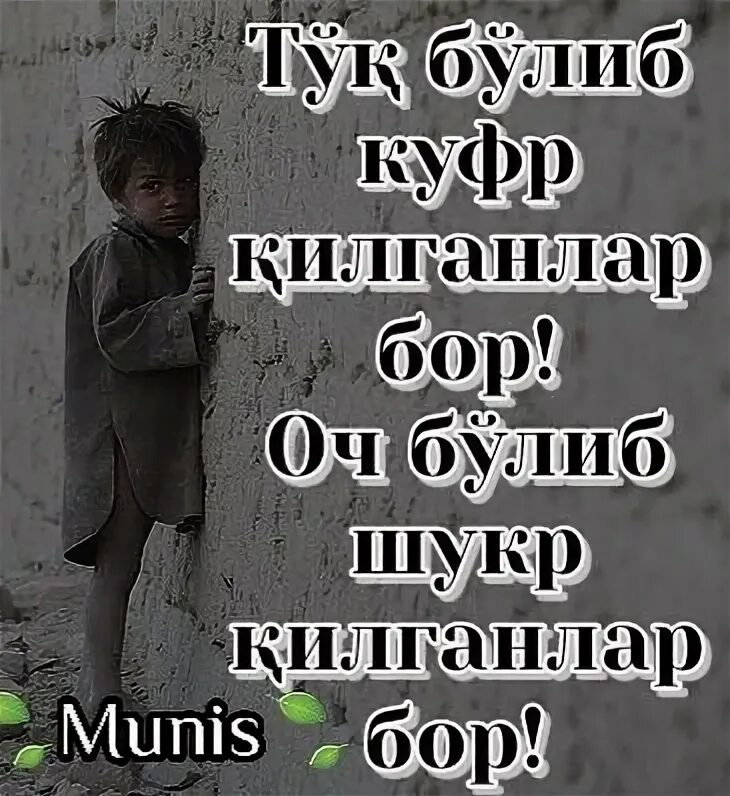 Шукур килинг
