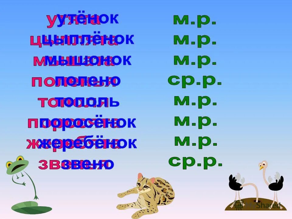 Мужской и женский род. Слова мужского рода. Презентация на тему род имен существительных. Существительные среднего рода. Мужской род женский род средний род слова.