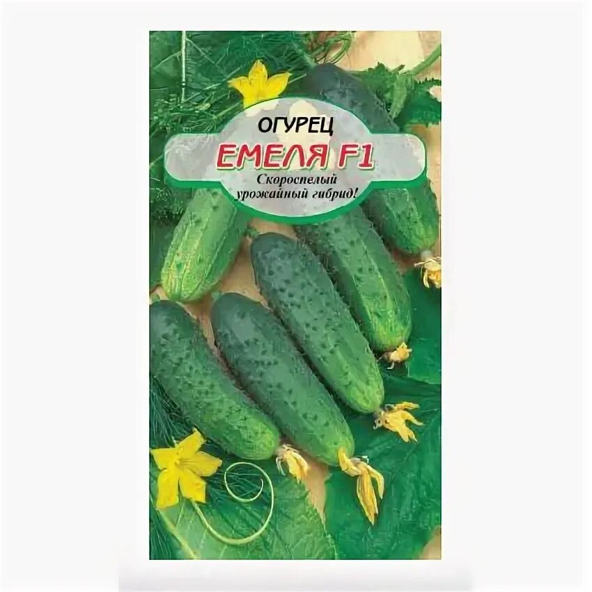 Огурец Емеля F1 (серия ЛЮКС) ИНВЕНТ+: продажа, цена в Костанае. Семена, саженцы 