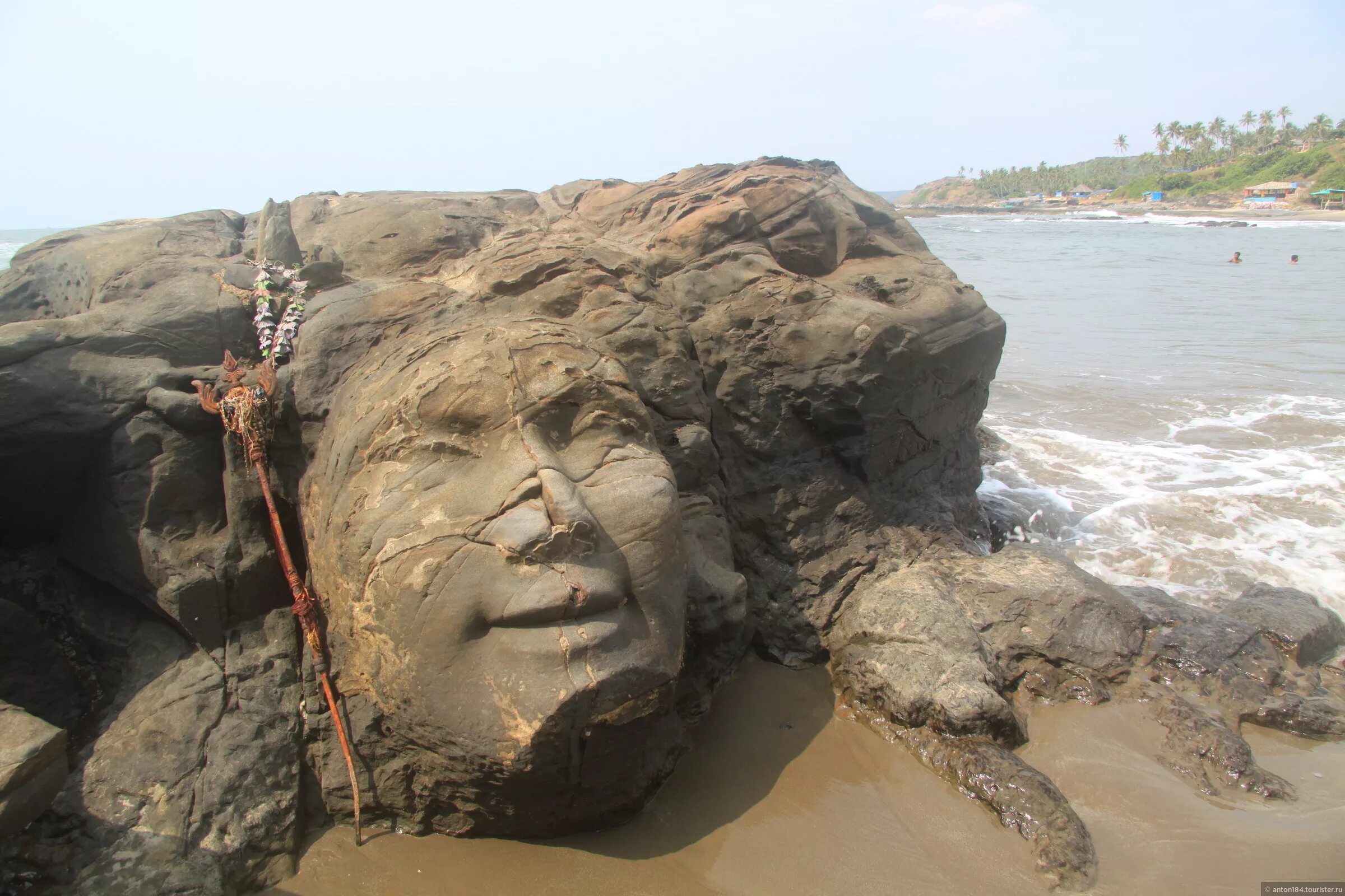 Шива пнн. Лицо шивы. Рудра богиня. Шветашватара упанишада. Шива лицо.