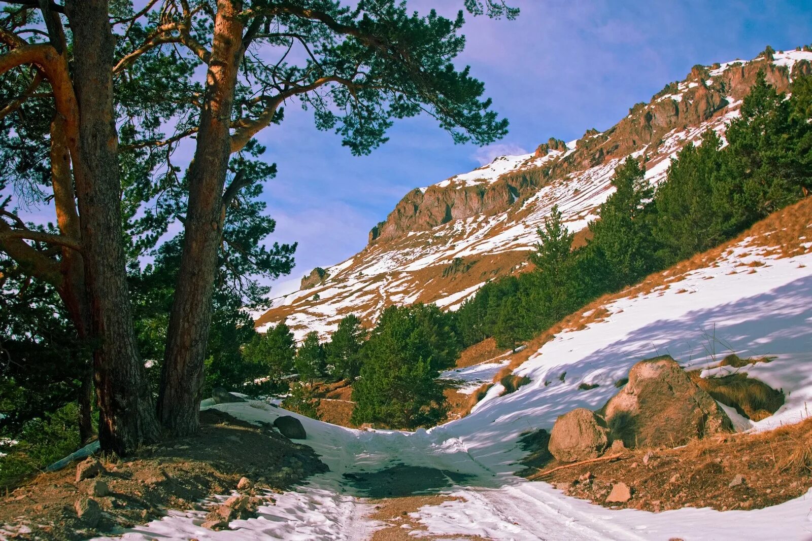 Альпы самары. Самарские альпы. база отдыха альпы самара.