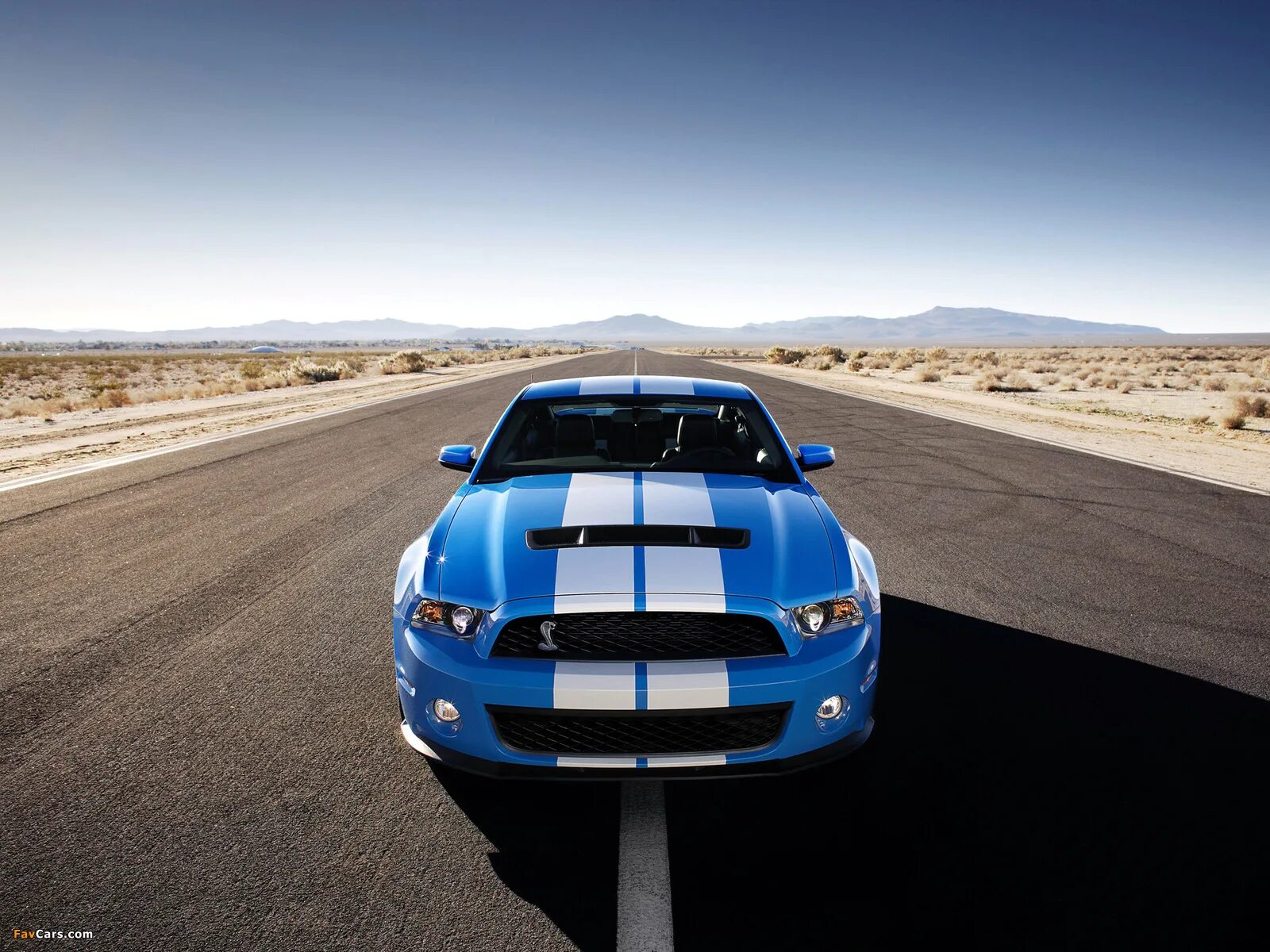 Форд Шелби gt 500. Ford Shelby gt500. Форд Мустанг gt 500. Форд Мустанг ГТ 500 Шелби. Через 480