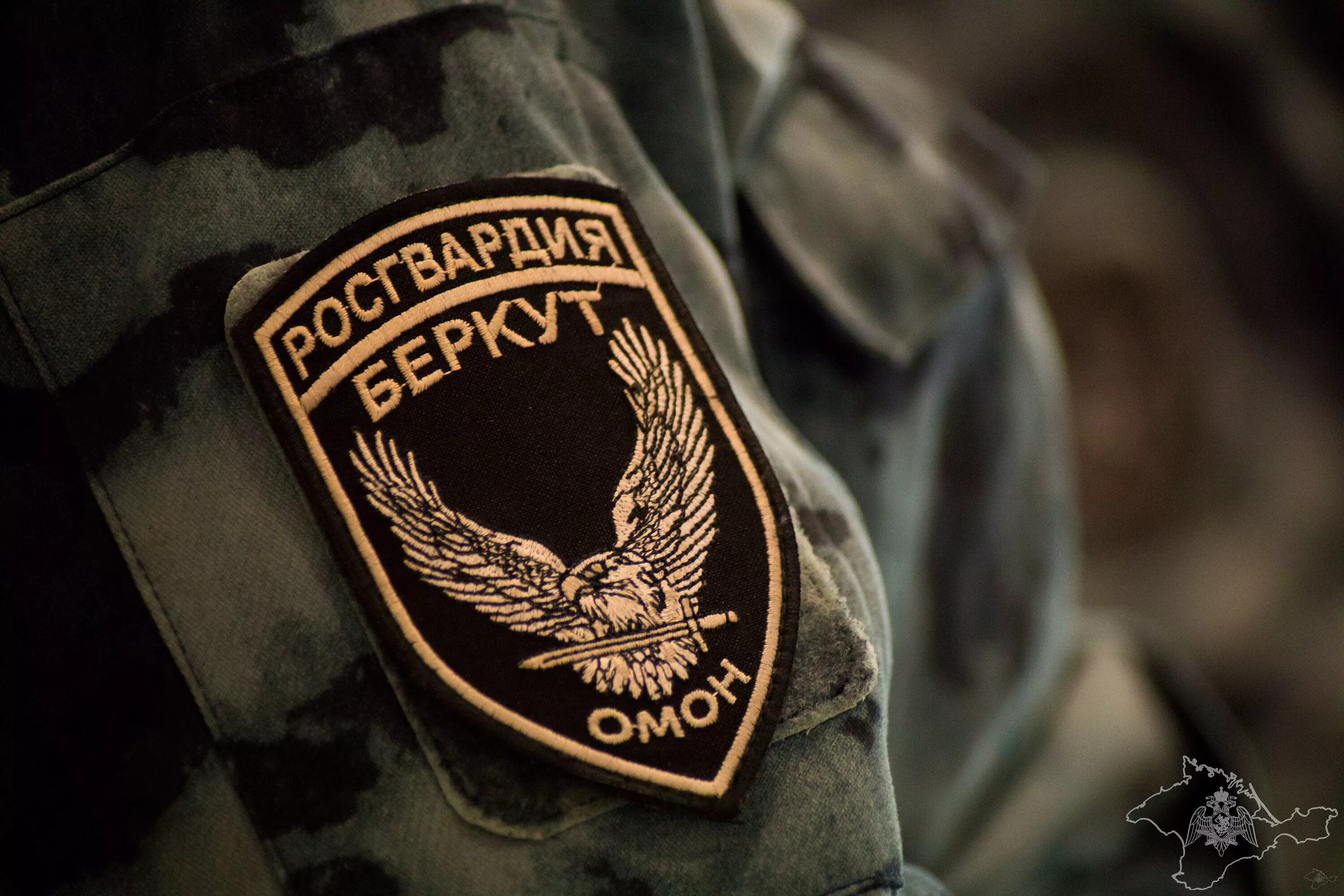 Нашивки беркут спецназ. Омон беркут росгвардия. Омон беркут крым. Омон беркут донецк. Омон беркут росгвардия.