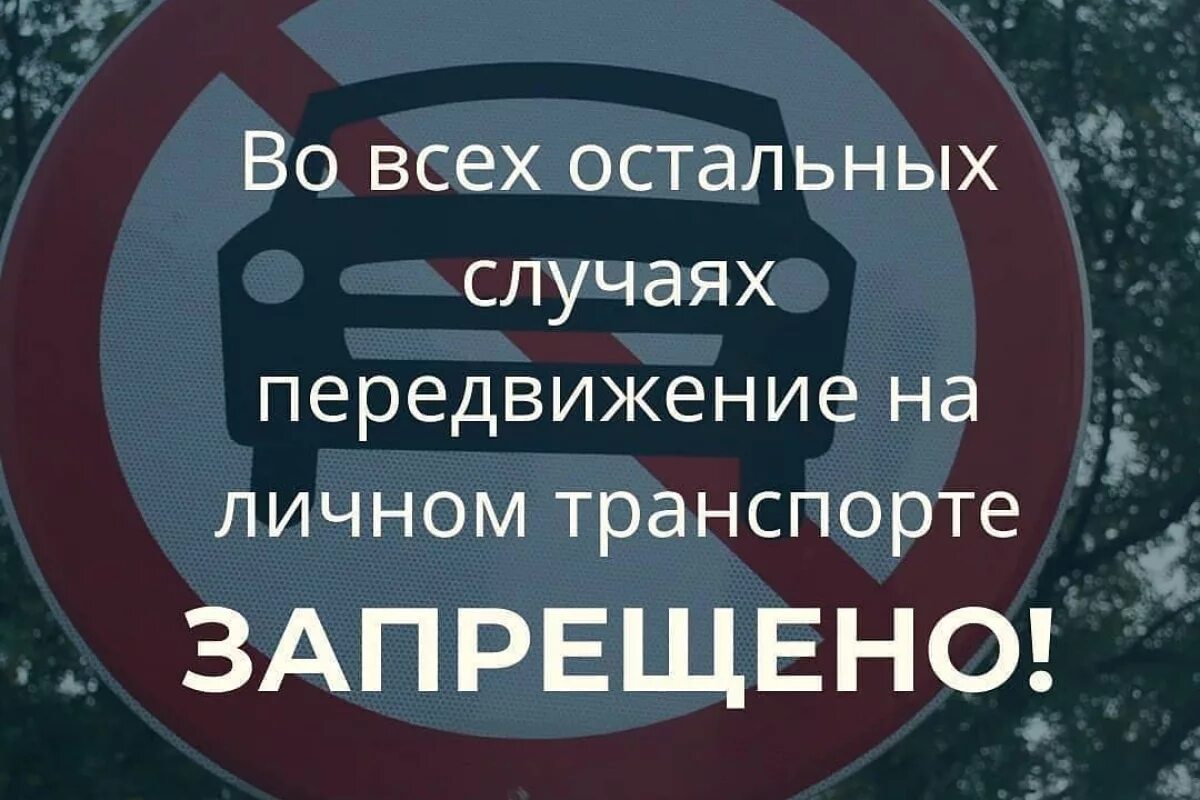 Можно ли 25 апреля. Передвижение на личном автомобиле во время карантина. Передвижение на личном авто. Перемещения на машине во время карантина. Поездка во время карантина.