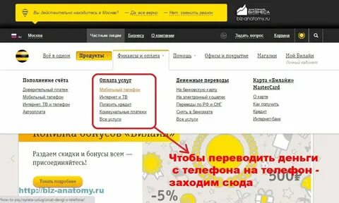 Почему не приходят деньги на билайн