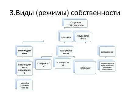 Организационно правовая структура собственности