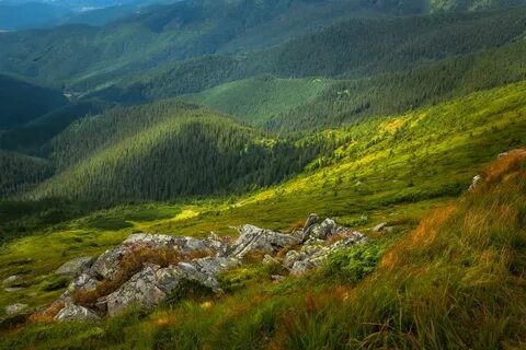 Массив карпат