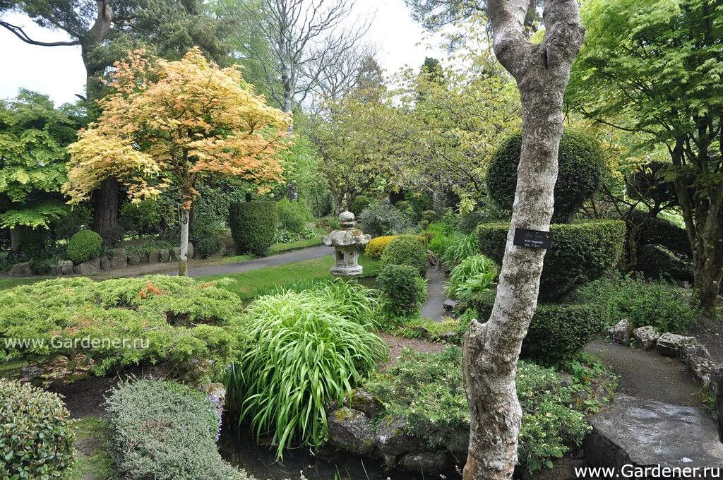 Верховой сад. Японский сад в Ирландии. Верховые сады. Ирландский сад фото. Kildare Gardens.