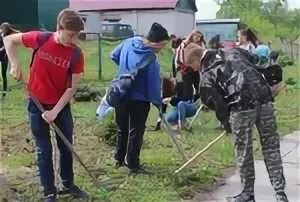 Погода в шарчино тюменцевского района алтайского края. Сайт королевской СОШ Тюменцевского района. Шарчино Тюменцевский район. Шарчино Алтайский край Тюменцевский район население. Село Тюменцево Алтайский край.