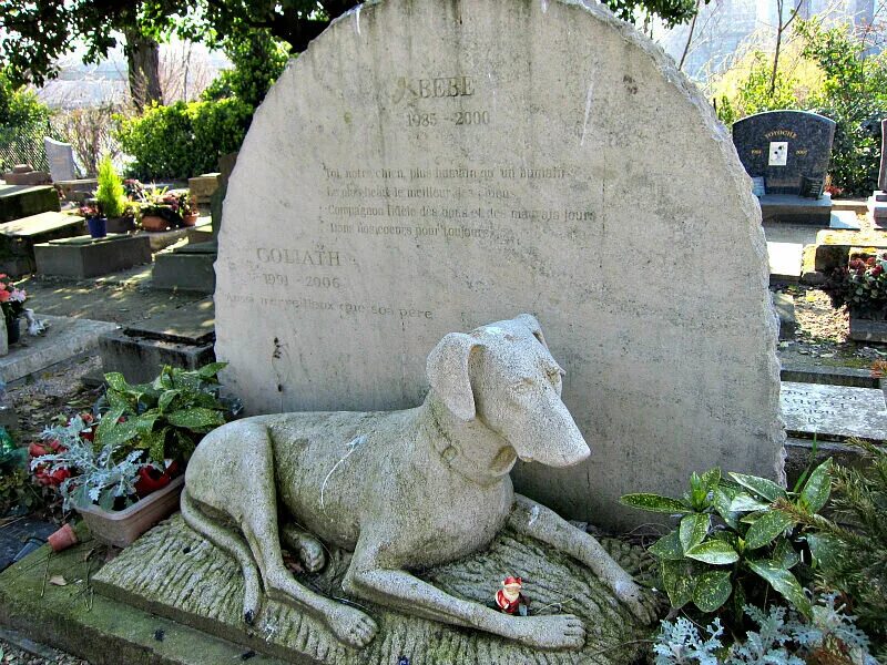 Pet cemetery. Собачье кладбище в Москве. Кладбищенские собаки.