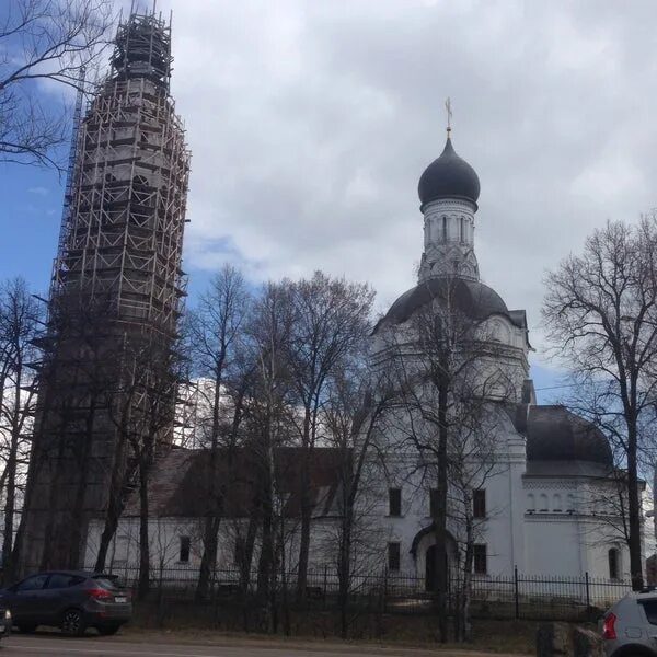 Колос липицы. Колос липицы. Липицы (московская область). Колос липицы. Липицы (новгородская область).