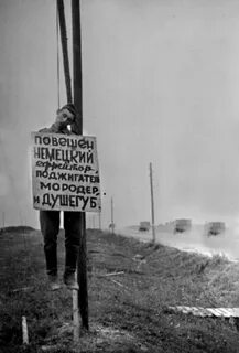 Душегубы история