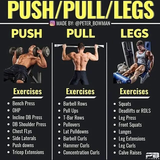 Push Pull тренировка. Push Pull упражнения. Push Pull Legs программа тренировок. Pull Workout. Workout plan