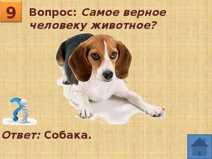 Самая самая 2