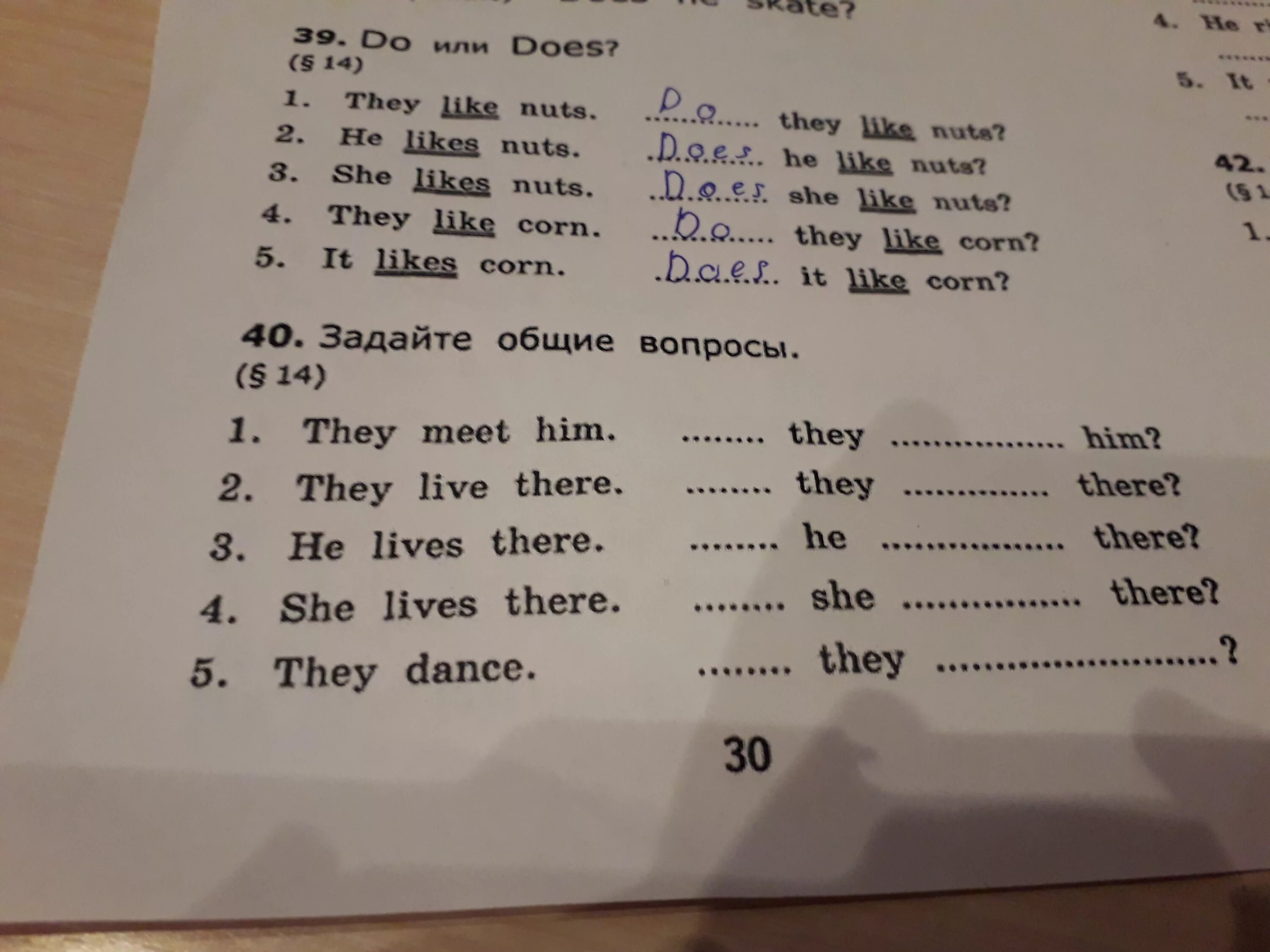 They like cakes. Задайте Общие вопросы. Задание 2 задайте Общие вопросы. Английский задайте Общие вопросы и дайте ответ. Задать общий вопрос.