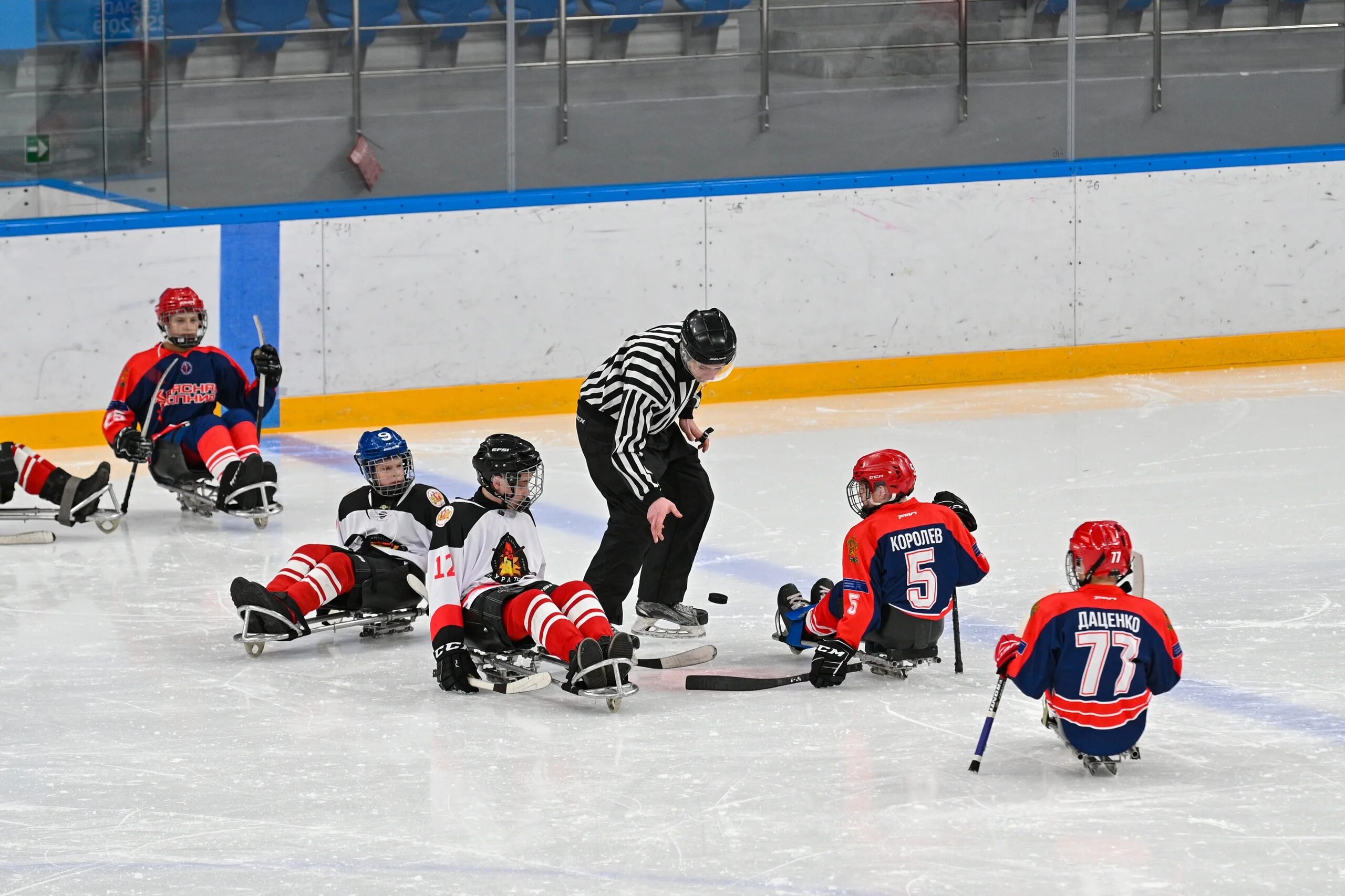 Сборная россии финляндии хоккей. Шайба для хоккея. Следж хоккей в красноярске. Турнир по хоккею 2015 год. Хоккей соревнования.