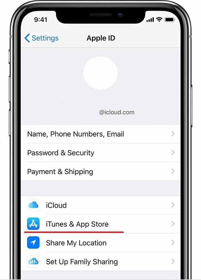 Как отменить платное приложение на айфоне. Управление подписками на iphone. подписки в айфоне. управление платными подписками на iphone. как посмотреть подписки на айфоне.