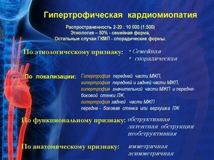 Гкмп у кошек