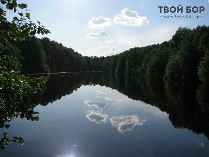 Бор нижегородской сайте бор