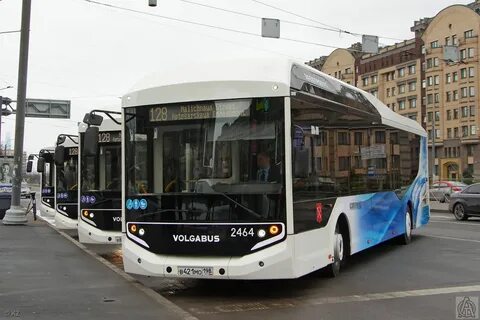 No 2464