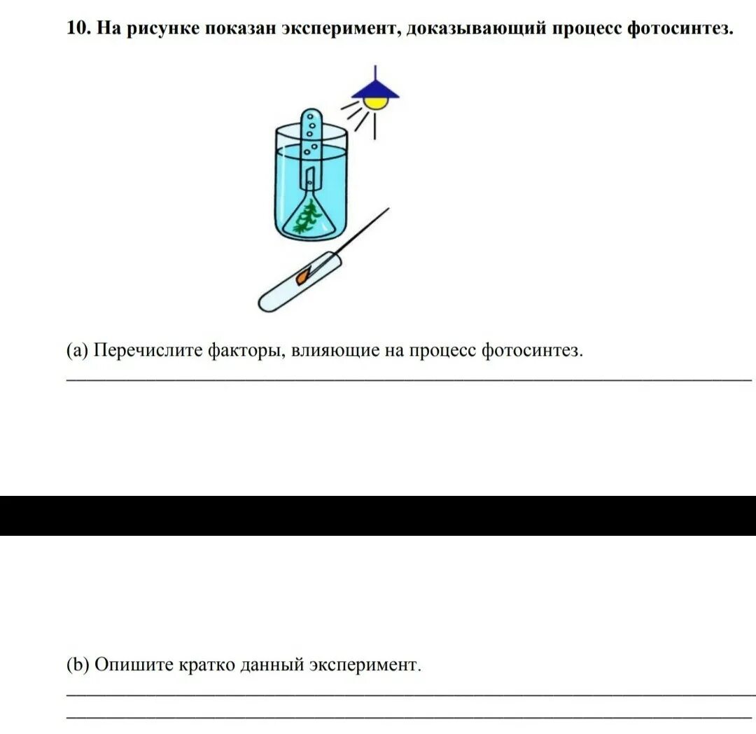 Опишите опыт изображенный на рисунке 154. Рисунок опыт доказывающий процесс фотосинтеза. Манометры задачи физики 7 класс. Корневое давление опыт рисунок. В изображенном на рисунке опыте экспериментатор.