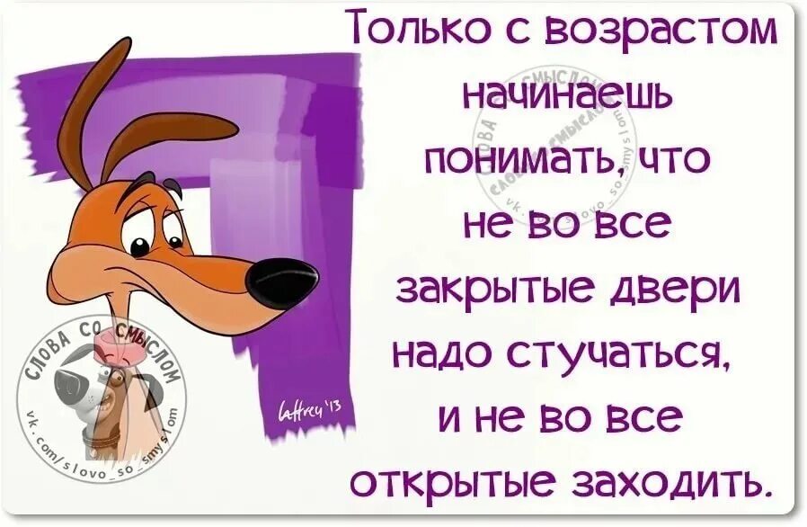 Цитаты со смыслом короткие с юмором. Смешные цитаты. прикольные фразы. мемные цитаты. веселые высказывания.