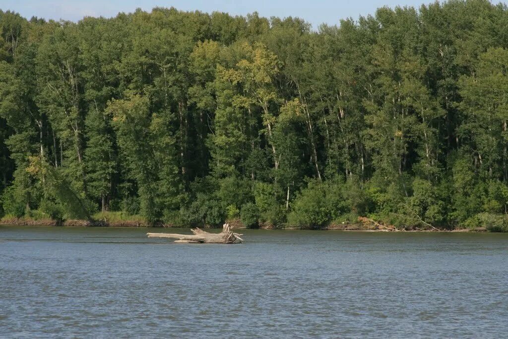 михайловская набережная новосибирска река обь фото. обь дубровино. водохранилище обское море. река обь камень на оби. новосибирск обьгэс обское море.