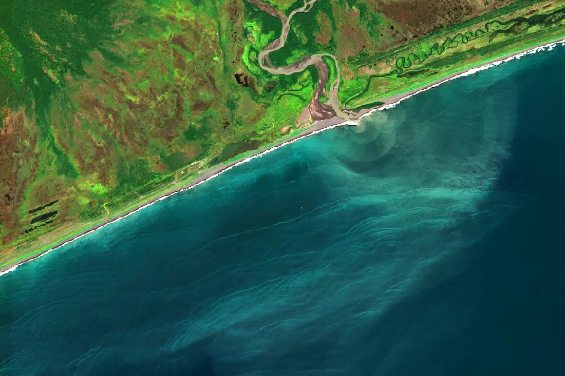 В какой океан впадает камчатка. Халактырский пляж Камчатка катастрофа. Тихий океан Камчатка. Экологическая катастрофа на Камчатке 2020. Катастрофа на Камчатке 2020.