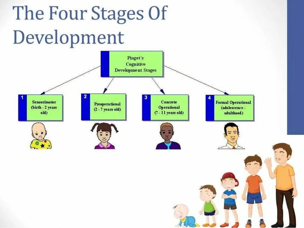 According to the development. Jean piaget theory. jean piaget cognitive development. piaget логотип. adema piaget.