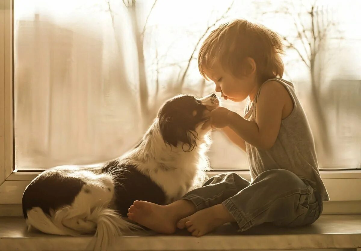 Доброта картинки. Ребенок обнимает собаку. Любовь к животным. Мальчик с собакой. Мальчик обнимает собаку.
