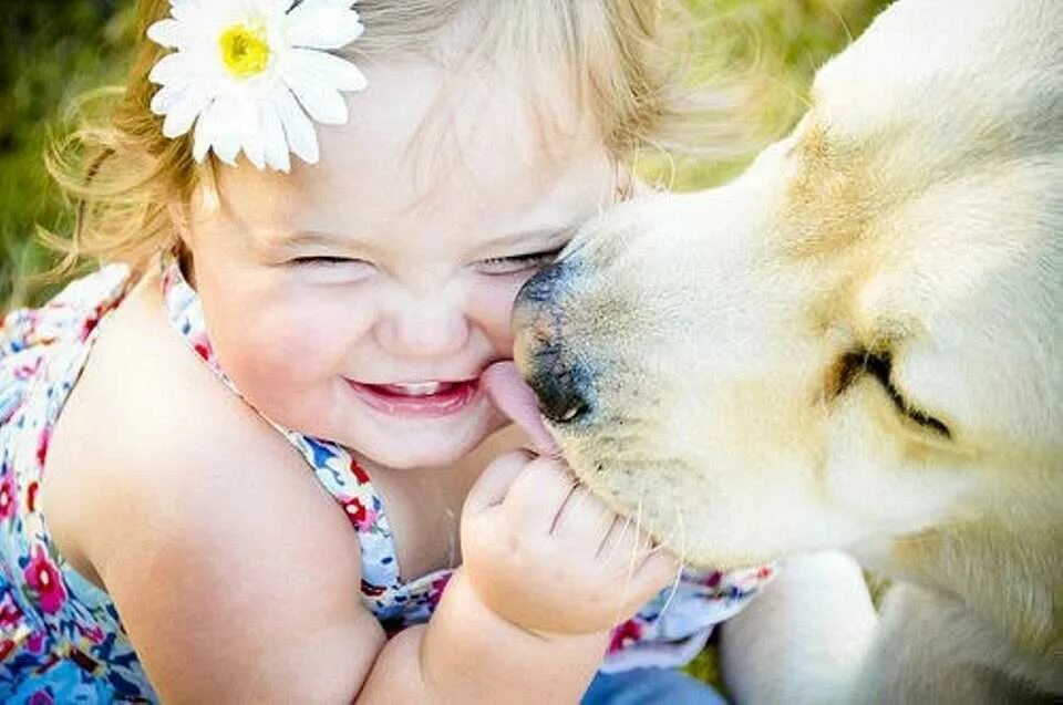 Добро картинки позитивные. Дети и животные доброта. О доброте. Животные и дети смеются. Доброта картинки.
