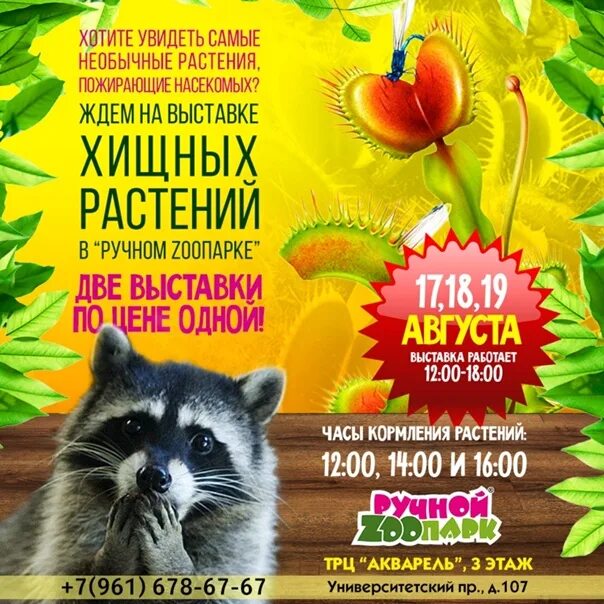Акварель волгоград выставка. Ручной зоопарк волгоград акварель. выставка хищных растений и насекомых. торговый центр акварель волгоград ручной зоопарк. волгоград тц акварель ручной зоопарк 2025.