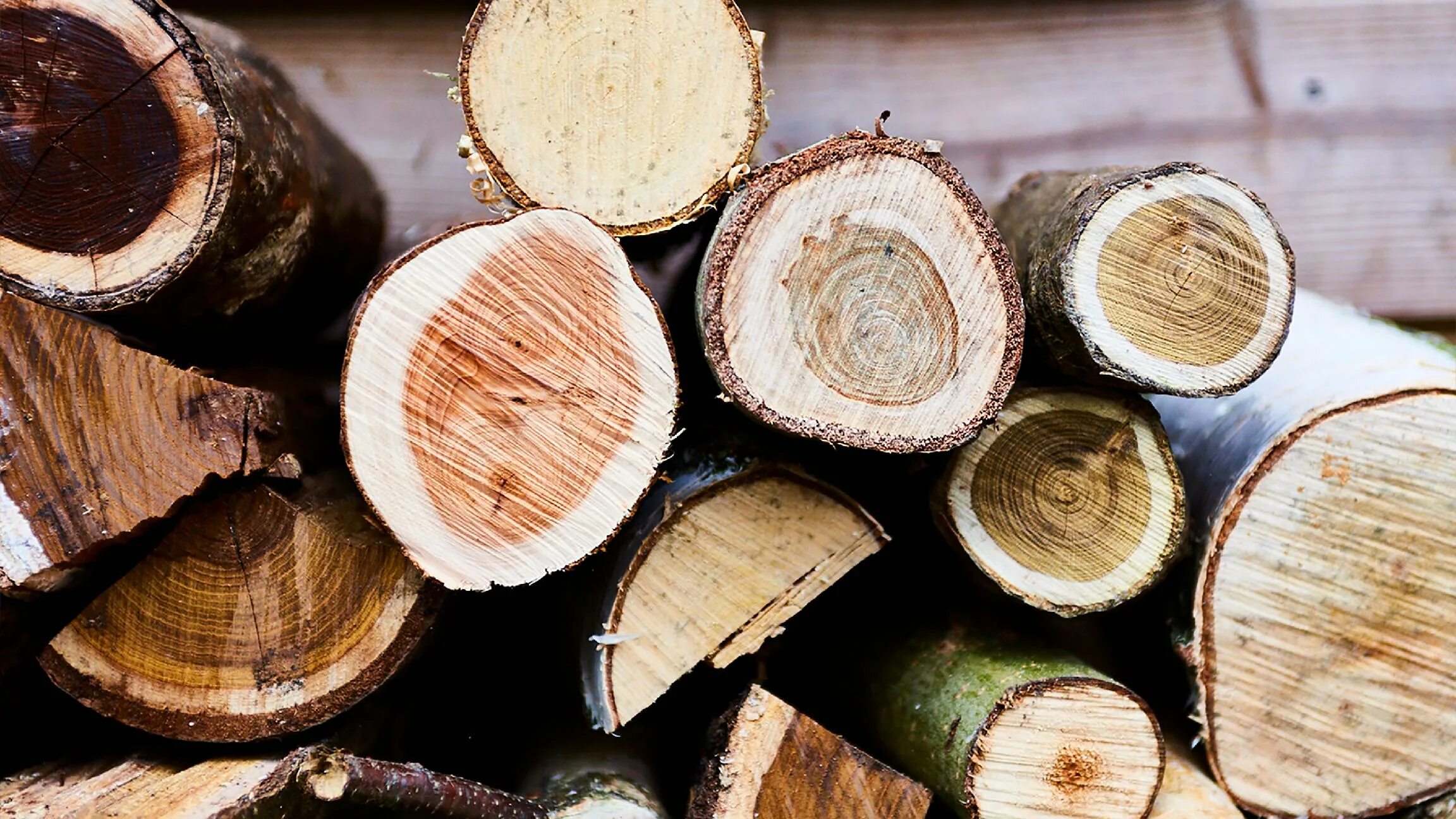 Дерево используют для изготовления. Каштан древесина. Мягкая древесина. Каштан конский древесина. Каштановая древесина.