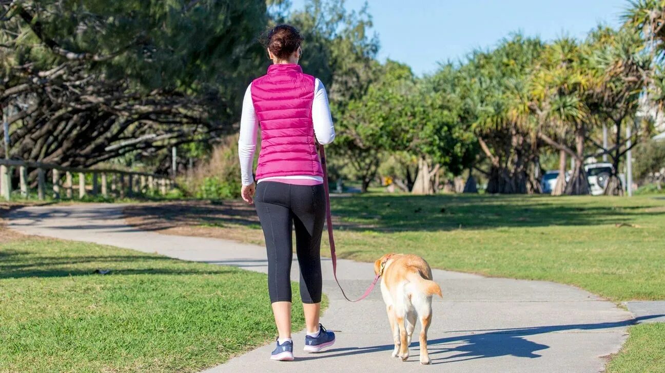 Утренняя прогулка солнечные ванны. Утренняя прогулка с подушкой. Spouses Daily Walking. Walking on fours.