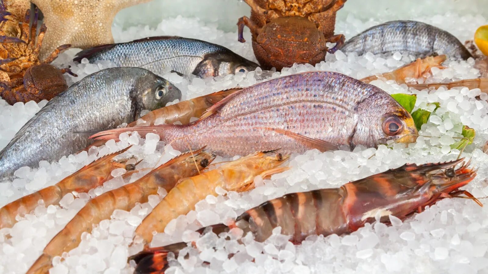 Мороженая рыба. Охлажденная рыба. замороженная рыба. морепродукты на льду. рыба на льду.