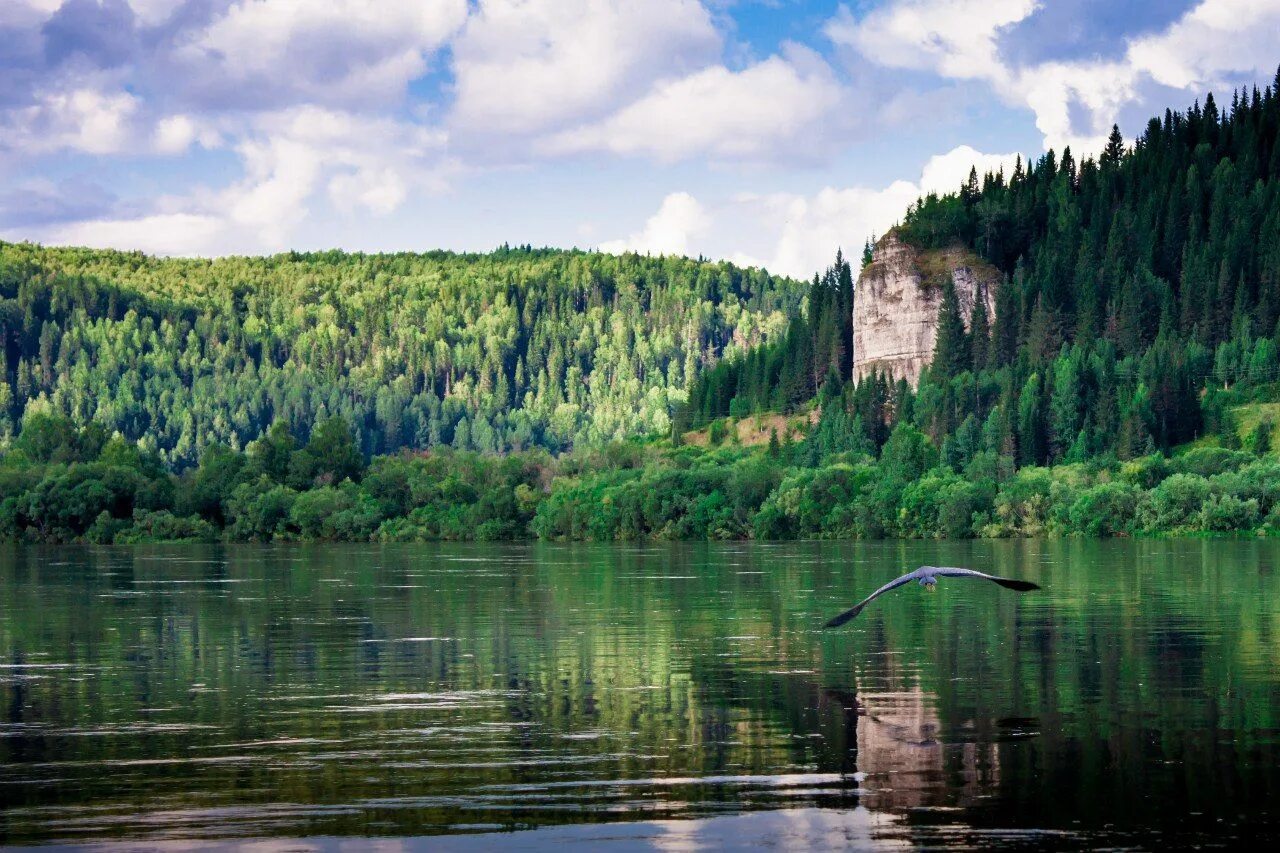 Какая природа в пермском крае. Река Вишера пермскийкпай. Природа Вишера Пермский край. Косьва Пермский край. Река Вишера Пермский край.